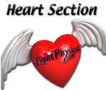 Cardiac Section